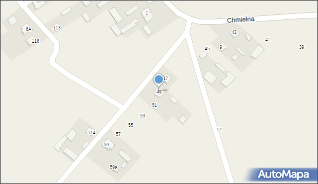 Borki, Chmielna, 49, mapa Borki