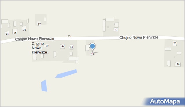 Chojno Nowe Pierwsze, Chojno Nowe Pierwsze, 45, mapa Chojno Nowe Pierwsze