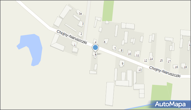 Chojny-Naruszczki, Chojny-Naruszczki, 5, mapa Chojny-Naruszczki