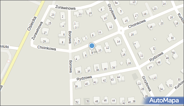 Leszno, Choinkowa, 8, mapa Leszno