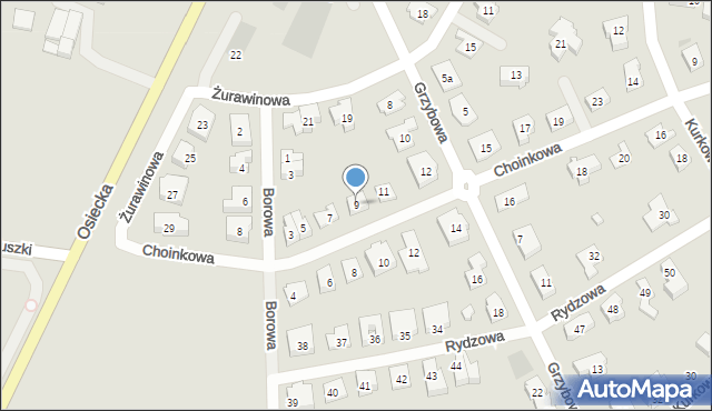 Leszno, Choinkowa, 9, mapa Leszno