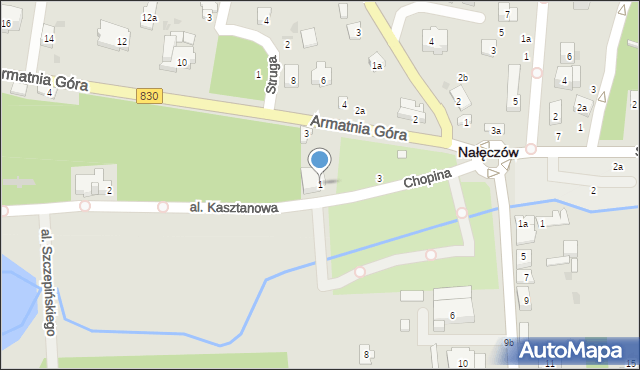 Nałęczów, Chopina Fryderyka, 1, mapa Nałęczów