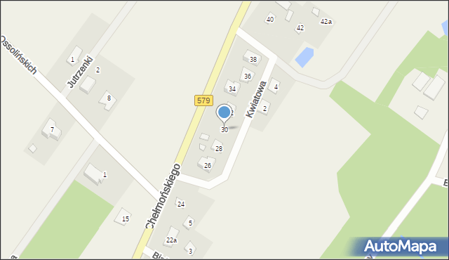 Radziejowice, Chełmońskiego Józefa, 30, mapa Radziejowice