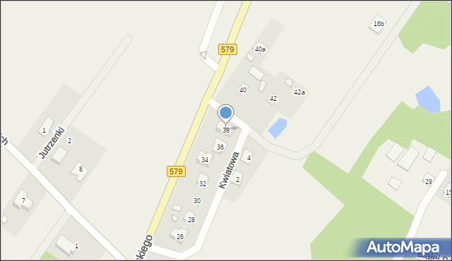 Radziejowice, Chełmońskiego Józefa, 38, mapa Radziejowice