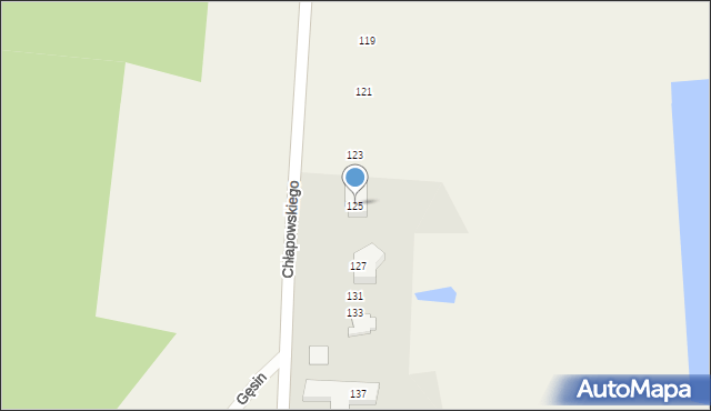 Zabór, Chłapowskiego, 125, mapa Zabór