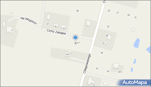Zabór, Chłapowskiego, 40, mapa Zabór