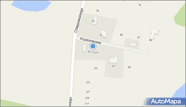 Zabór, Chłapowskiego, 99, mapa Zabór