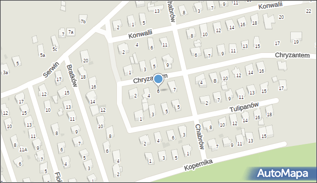 Żarki, Chryzantem, 6, mapa Żarki