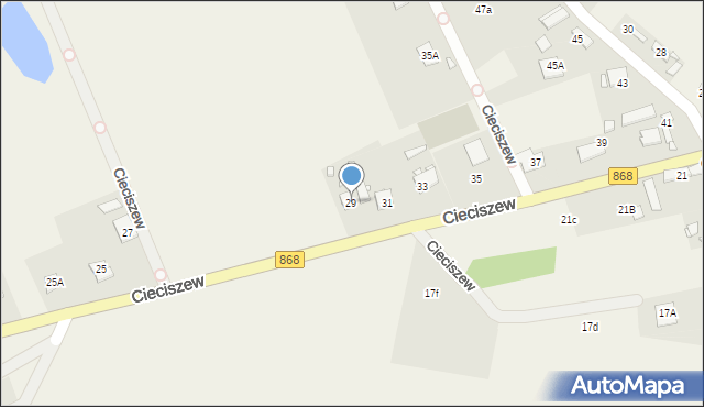 Cieciszew, Cieciszew, 29, mapa Cieciszew