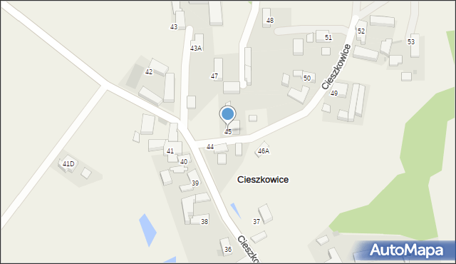 Cieszkowice, Cieszkowice, 45, mapa Cieszkowice