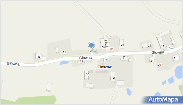 Cieszów, Cieszów, 31, mapa Cieszów