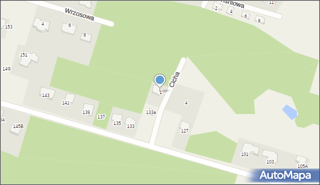 Dzbenin, Cicha, 1, mapa Dzbenin