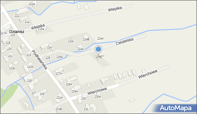 Dzianisz, Ciesielska, 14, mapa Dzianisz