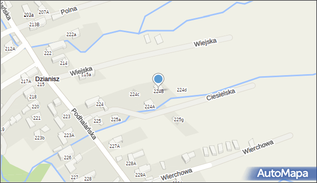 Dzianisz, Ciesielska, 7, mapa Dzianisz