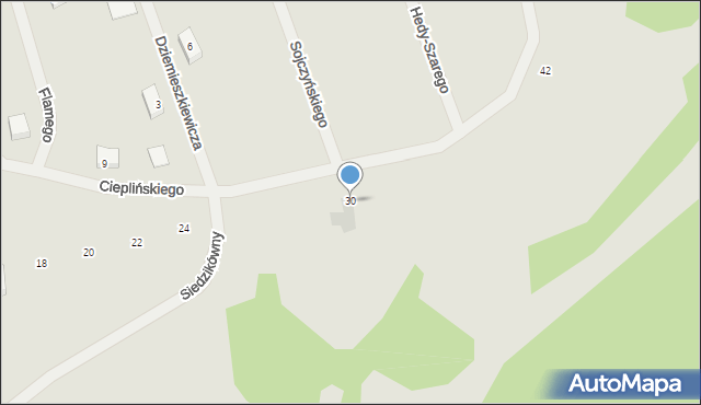 Iława, Cieplińskiego-Pługa Łukasza, 30, mapa Iława