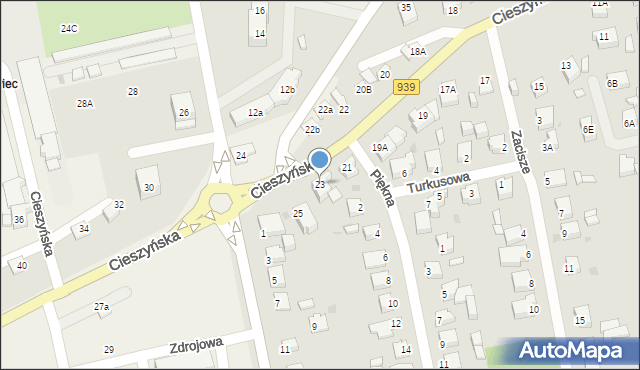 Pszczyna, Cieszyńska, 23, mapa Pszczyny