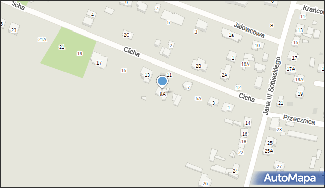 Puszczykowo, Cicha, 9A, mapa Puszczykowo
