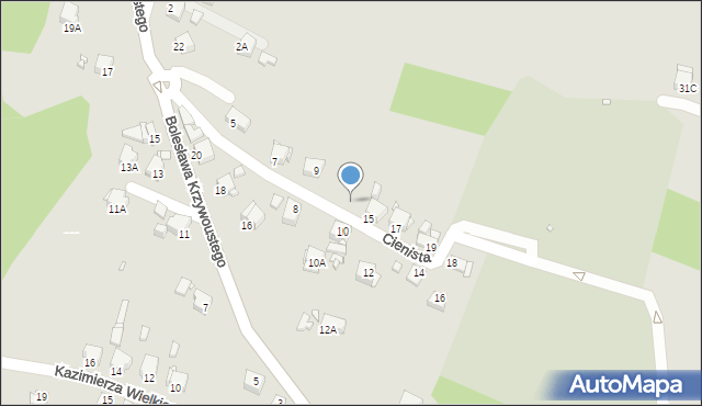 Rybnik, Cienista, 13, mapa Rybnika