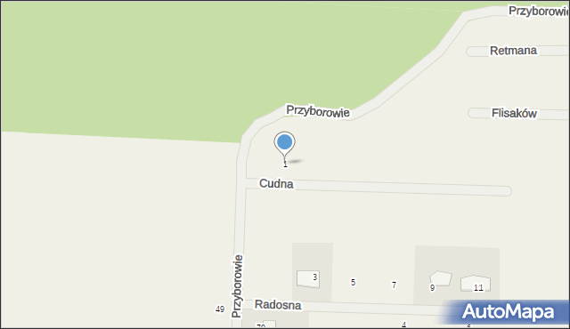 Czersk, Cudna, 1, mapa Czersk