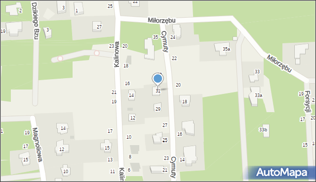 Czarny Las, Cymuty S., 31, mapa Czarny Las