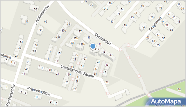 Julianów, Cyraneczki, 41b, mapa Julianów