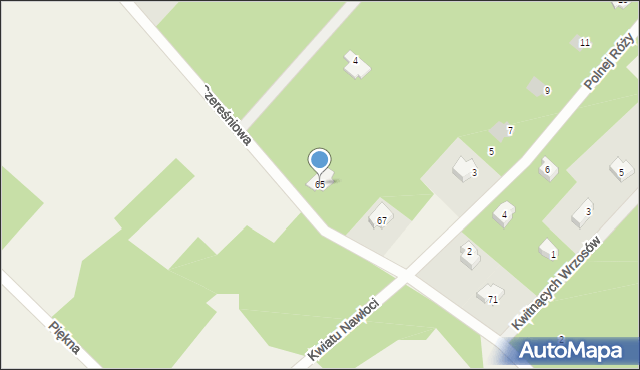 Budy Michałowskie, Czereśniowa, 65, mapa Budy Michałowskie