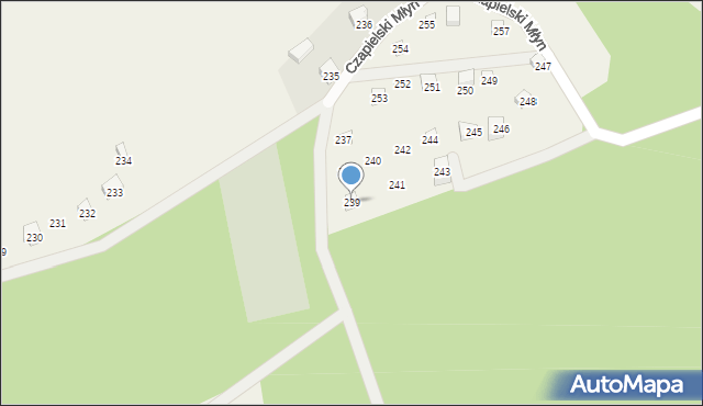 Czapielski Młyn, Czapielski Młyn, 239, mapa Czapielski Młyn