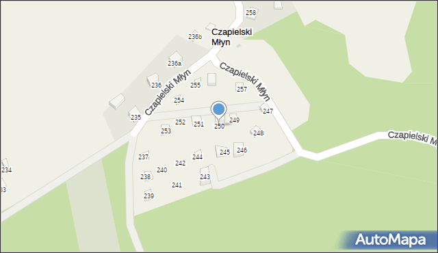 Czapielski Młyn, Czapielski Młyn, 250, mapa Czapielski Młyn