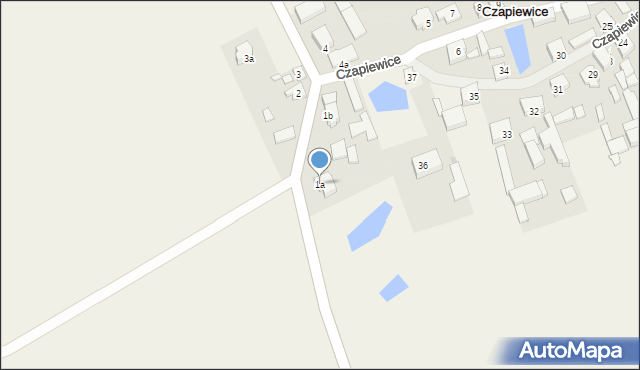 Czapiewice, Czapiewice, 1a, mapa Czapiewice