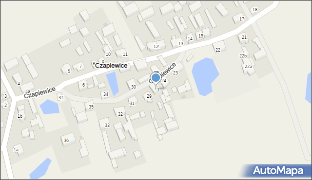 Czapiewice, Czapiewice, 28, mapa Czapiewice