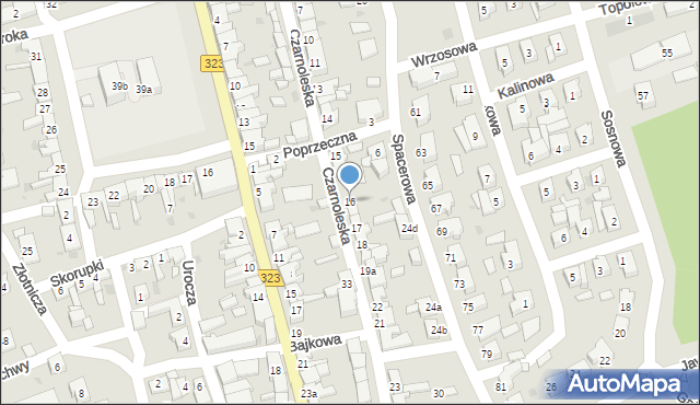 Leszno, Czarnoleska, 16, mapa Leszno