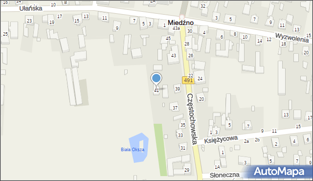 Miedźno, Częstochowska, 41, mapa Miedźno