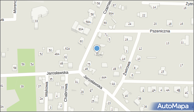 Puszczykowo, Czarnieckiego Stefana, hetm., 73A, mapa Puszczykowo