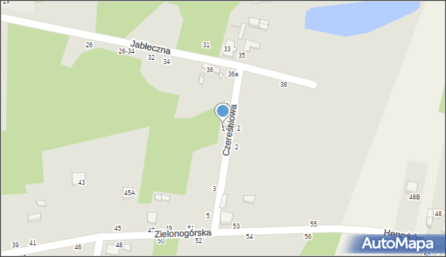 Zduńska Wola, Czereśniowa, 1, mapa Zduńska Wola