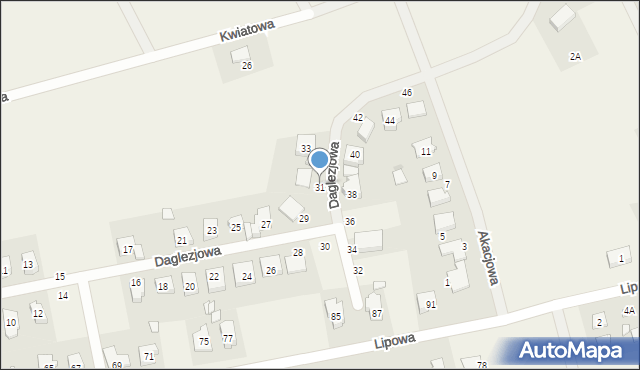 Bolechówko, Daglezjowa, 31, mapa Bolechówko