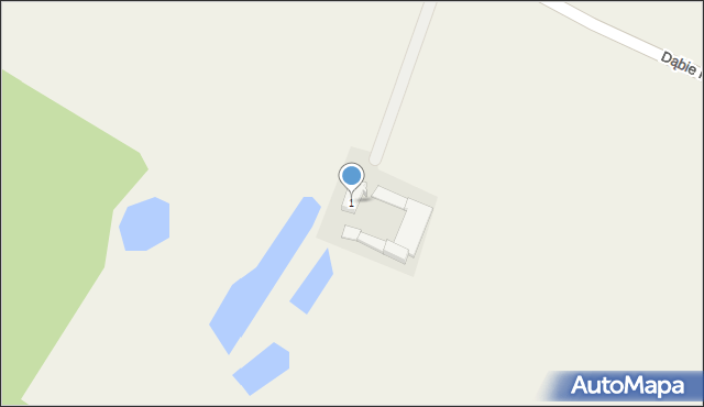 Dąbie Poduchowne, Dąbie Poduchowne, 1, mapa Dąbie Poduchowne