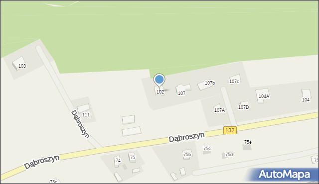 Dąbroszyn, Dąbroszyn, 102, mapa Dąbroszyn