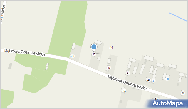 Dąbrowa Goszczewicka, Dąbrowa Goszczewicka, 45, mapa Dąbrowa Goszczewicka