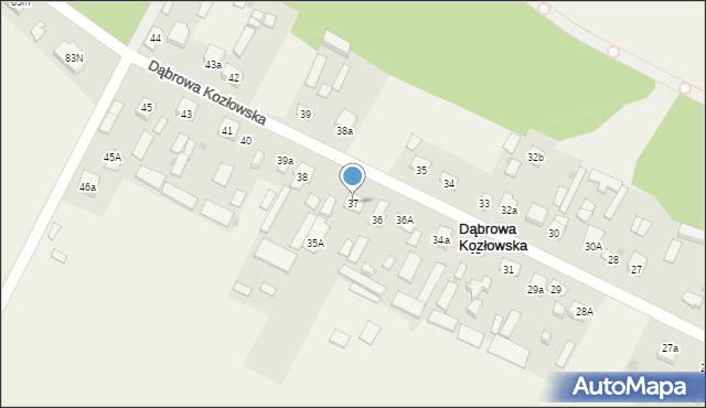 Dąbrowa Kozłowska, Dąbrowa Kozłowska, 37, mapa Dąbrowa Kozłowska