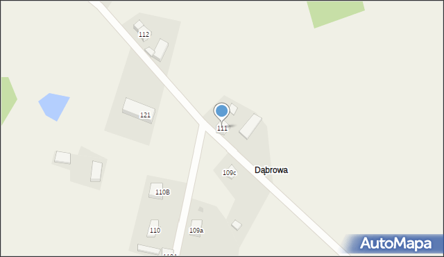 Dąbrowa Puzdrowska, Dąbrowa Puzdrowska, 111, mapa Dąbrowa Puzdrowska