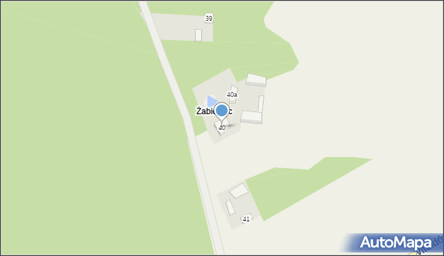 Dąbrowa Widawska, Dąbrowa Widawska, 40, mapa Dąbrowa Widawska