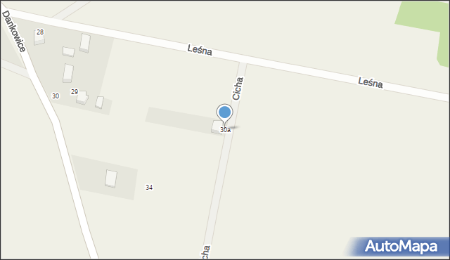 Dankowice, Dankowice, 30a, mapa Dankowice