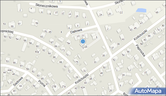 Nowy Tomyśl, Daliowa, 1, mapa Nowy Tomyśl