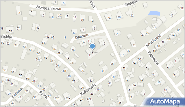 Nowy Tomyśl, Daliowa, 3, mapa Nowy Tomyśl