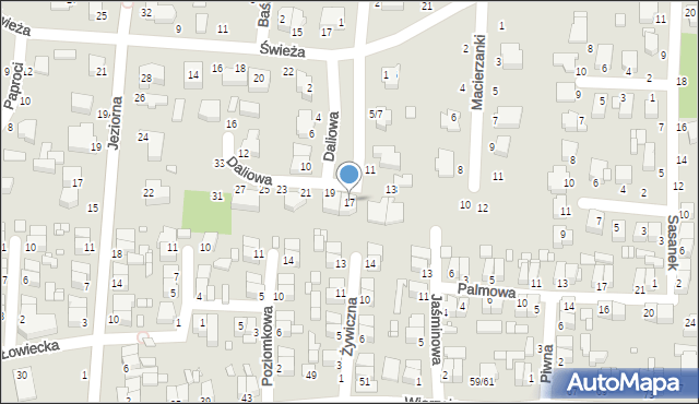 Piotrków Trybunalski, Daliowa, 17, mapa Piotrków Trybunalski