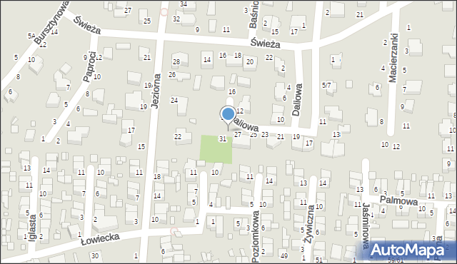 Piotrków Trybunalski, Daliowa, 29, mapa Piotrków Trybunalski