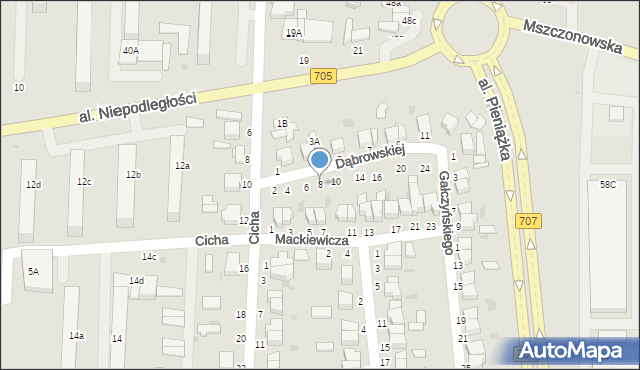 Skierniewice, Dąbrowskiej Marii, 8, mapa Skierniewic