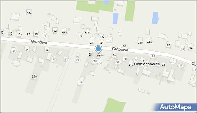 Domiechowice, Domiechowice, 25, mapa Domiechowice