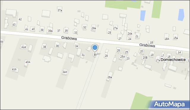 Domiechowice, Domiechowice, 30, mapa Domiechowice