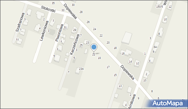 Gołuski, Dopiewska, 21, mapa Gołuski